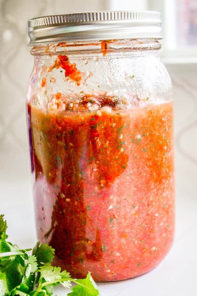 Easy Garden Blender Salsa - Mom On Timeout