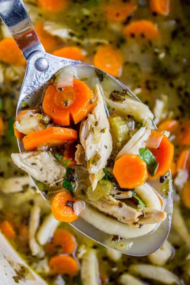 Best Chicken Noodle Soup Recipe • Food Folks and Fun