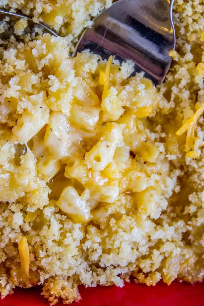 a fork digging into homemade mac and cheese with breadcrumbs.