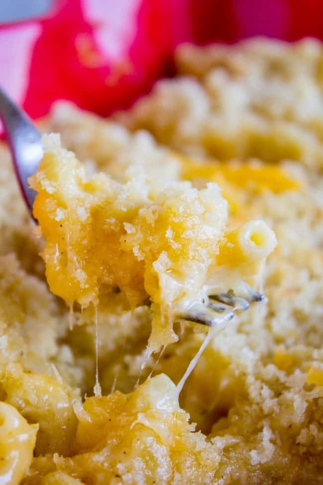 a fork listing a spoonful of mac and cheese with breadcrumbs.
