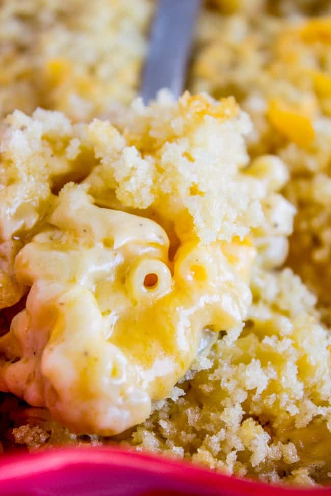 Best Mac and Cheese Recipe in a spoon