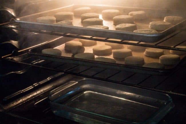  donuts rising in oven with steam.