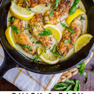 pan seared chicken in lemon basil cream sauce.