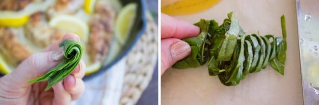 showing how to roll, then slice basil to chiffonade it. 