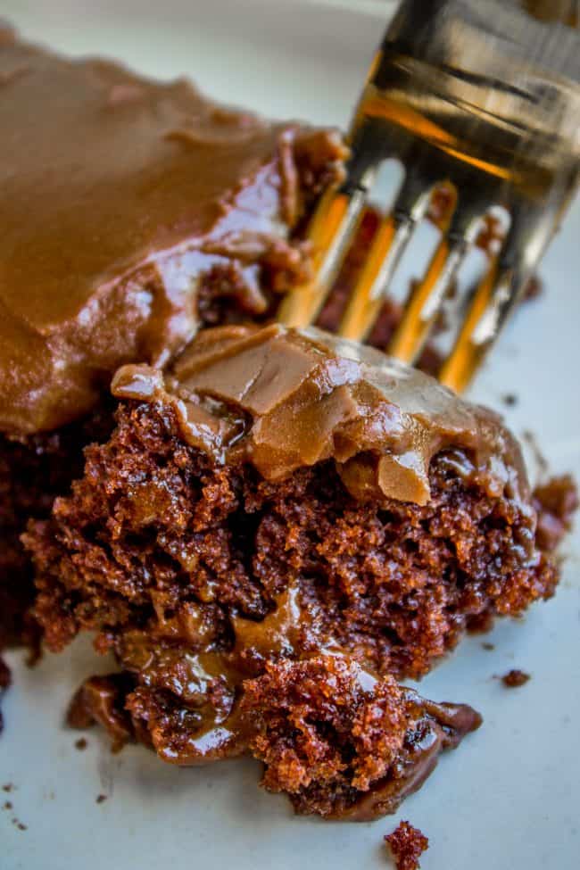 bite of texas chocolate sheet cake being lifted with a fork.