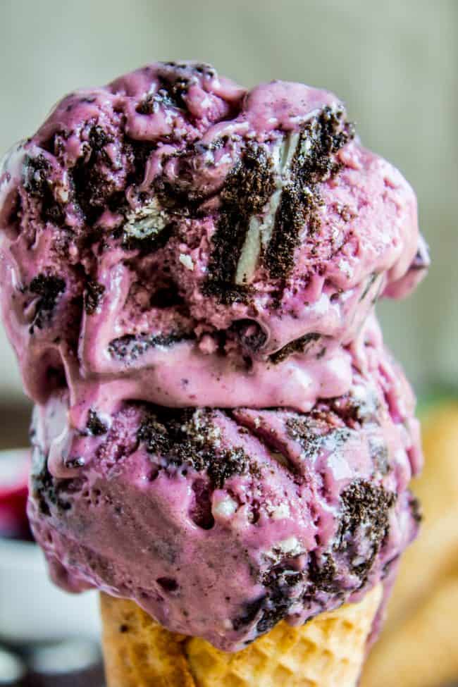 Black Raspberry Ice Cream Edys