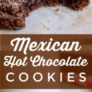 Close-up of mexican hot chocolate cookies, one with a bite taken out, dusted with sugar, in front of a glass of milk. The text Mexican Hot Chocolate Cookies is displayed in the center.