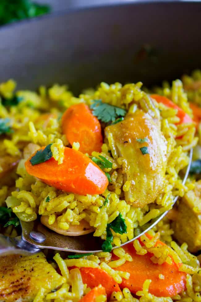 Indian chicken curry with carrots.