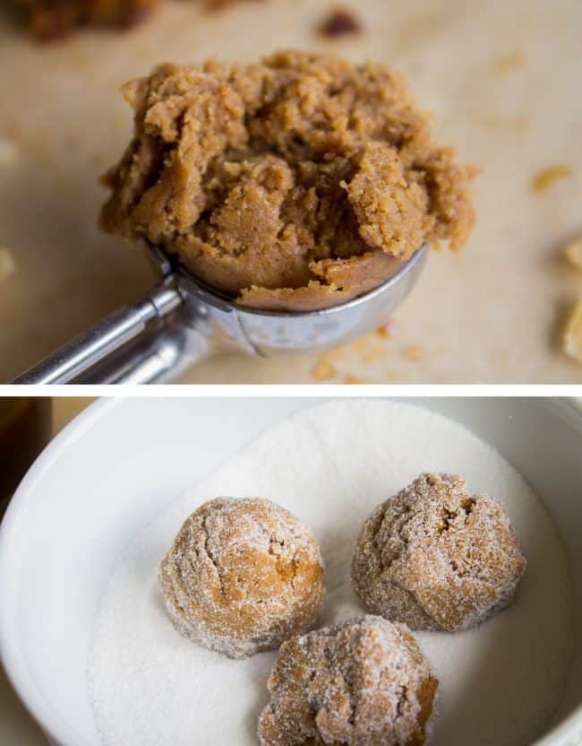 molasses cookie dough in a cookie scoop, balls of molasses cookie dough being rolled in sugar. 