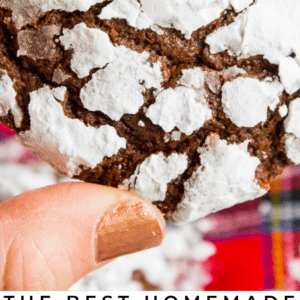 A hand holding a chocolate crinkle cookie dusted with powdered sugar. Text below reads: Delicious chocolate crinkle cookies—perfect for Christmas—The Food Charlatan.