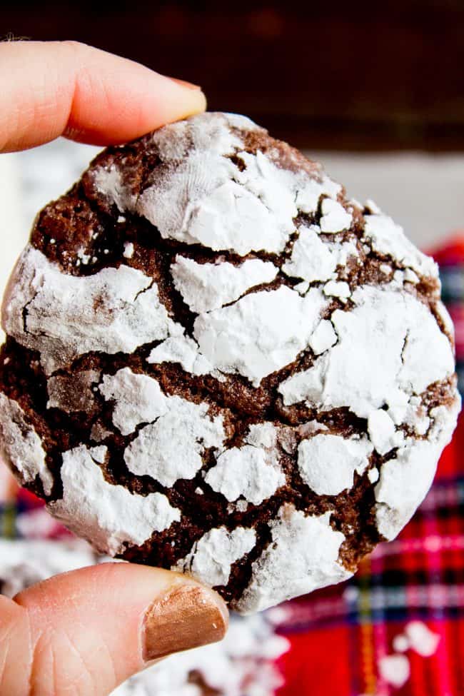 a chocolate crinkle cookie held by a manicured hand. 