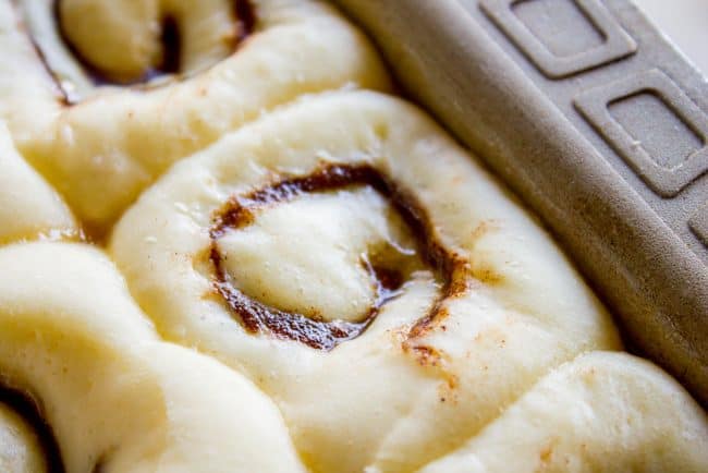 homemade cinnamon rolls rising in a pan. 