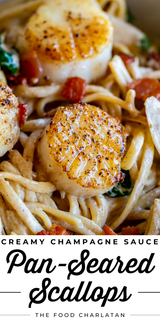 pan seared sea scallops with pasta and sauce.