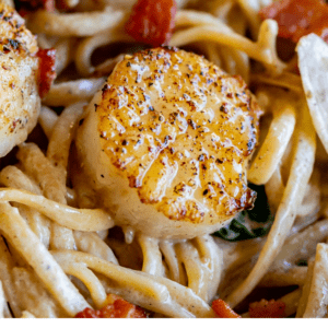 pan seared sea scallops with pasta and sauce.