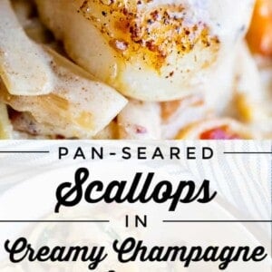 Close-up of pan seared scallops on pasta, topped with creamy champagne sauce and garnished with spinach and bacon bits. Text overlay reads: Pan seared scallops in creamy champagne sauce.