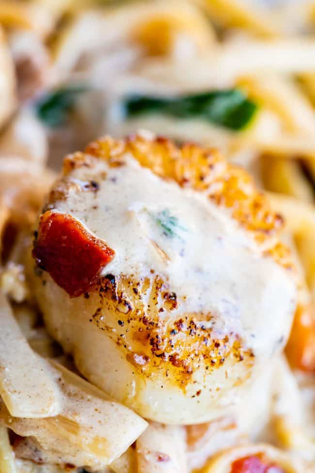 scallops with bacon and a creamy sauce over linguine. 