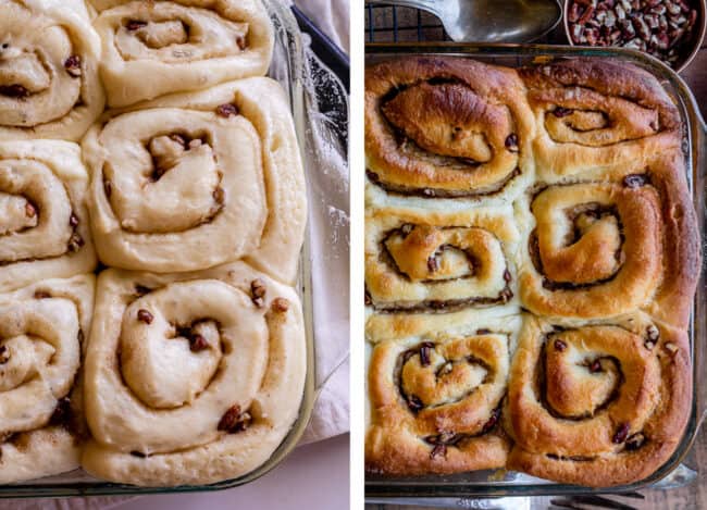 pecan sticky buns shown pre and post baking