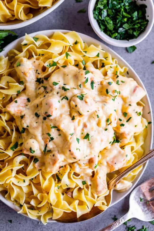 chicken stroganoff over egg noodles.