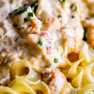 A close-up of creamy chicken Alfredo with grilled chicken pieces and herbs served over wide egg noodles, reminiscent of savory chicken stroganoff.