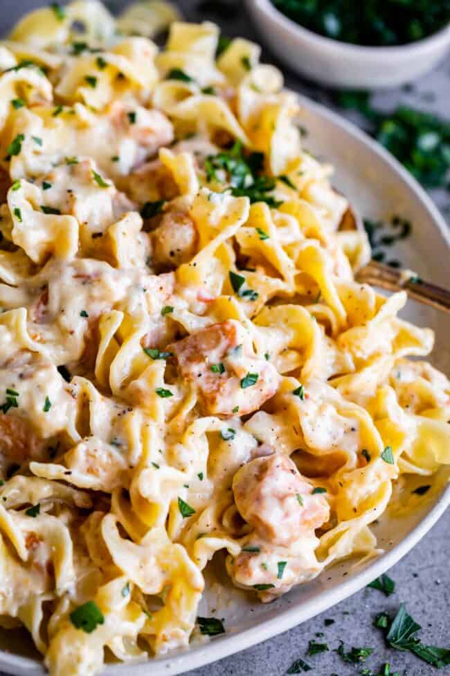 chicken stroganoff on a white plate.