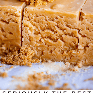 Close-up of sliced classic penuche fudge topped with brown sugar crumbles, showcasing its creamy, smooth texture. Text at the bottom reads: “Seriously delicious Classic Penuche Fudge. The Food Charlatan.”.