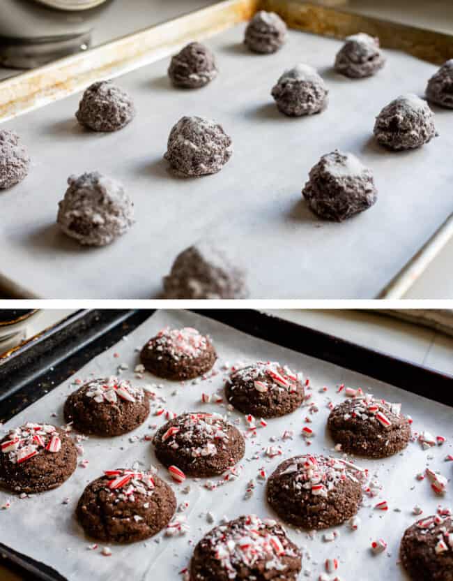 chocolate peppermint cookies