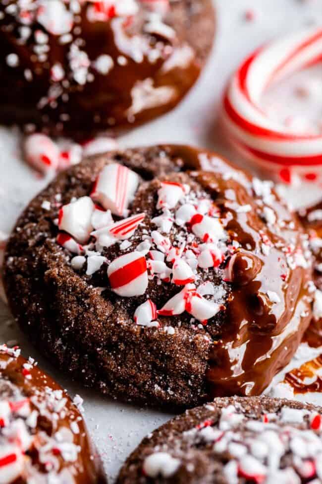 chocolate cookies peppermint