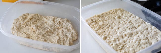 pan pizza dough rising in a tupperware container.