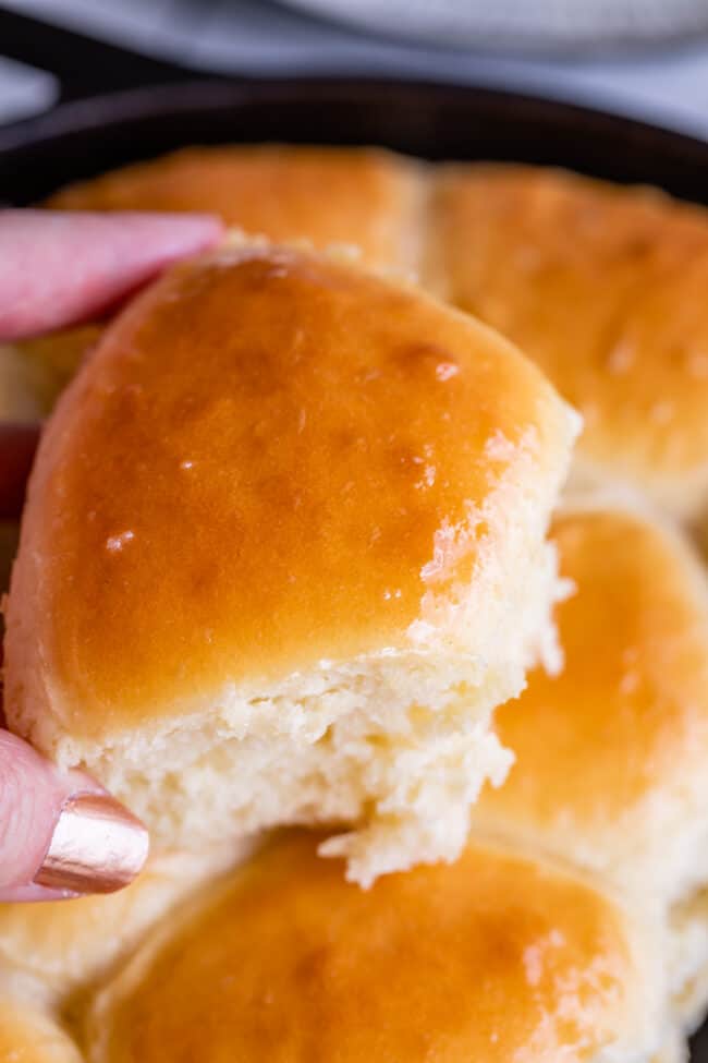 homemade golden brown fluffy dinner rolls.