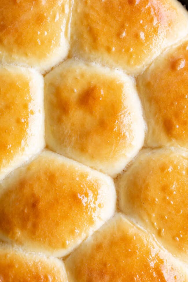 homemade golden brown buttery rolls shot close up.