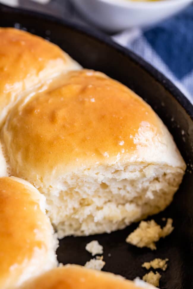 homemade rolls in a cast iron skillet shot close up. 