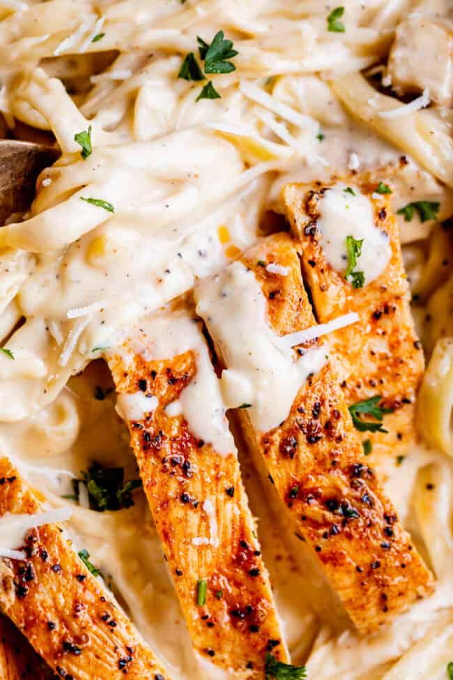 cooked chicken with Alfredo sauce and pasta.