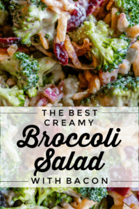 spoonful of broccoli, cheese, bacon, cranberry, with dressing
