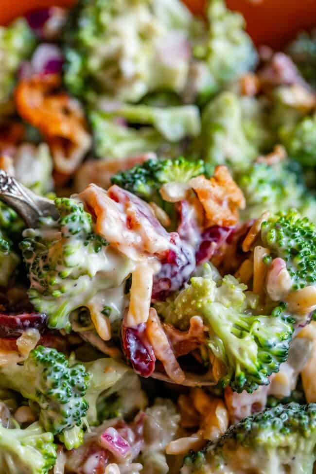 close up picture of spoonful of broccoli bacon salad with cranberry