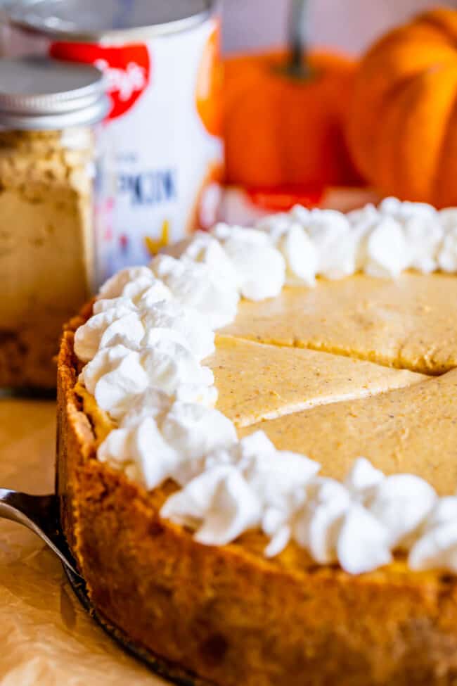 no bake pumpkin cheesecake with whipped cream.