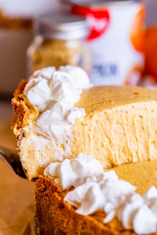 slice of easy no bake pumpkin cheesecake being lifted from the pan on a server.