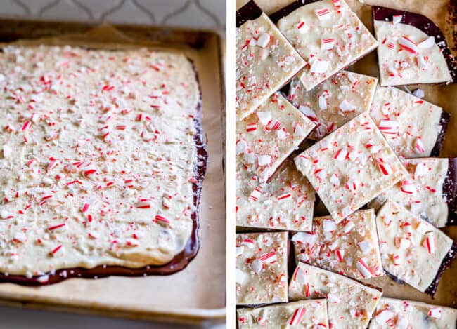 peppermint bark just after it's been poured, and then cut into squares