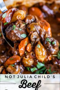 beef bourguignon with carrots, beef, mushrooms and onions on a spoon