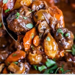 beef bourguignon with carrots, beef, mushrooms and onions on a spoon
