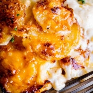 cheesy scalloped potatos on a plate with a fork