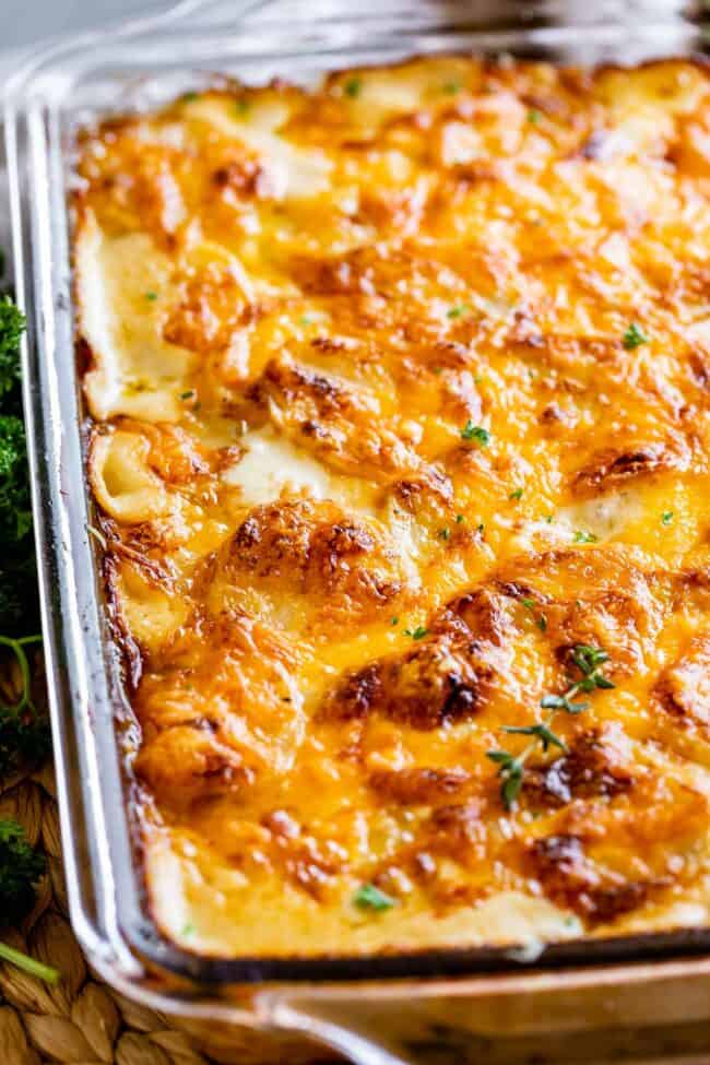 scalloped potatoes in a clear glass pan sprinkled with parsley