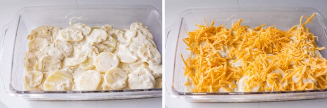 layering creamy potatoes in a glass dish and topping with cheese.