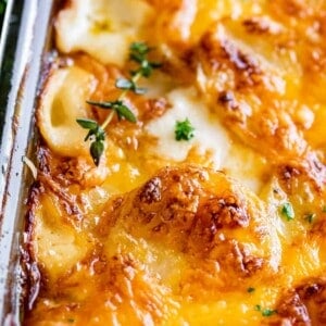 cheesy scalloped potatoes recipe in a pan topped with thyme