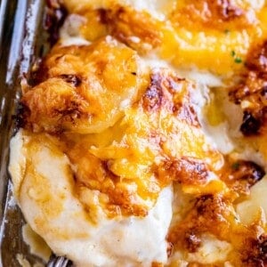 cheesy scalloped potatoes in a casserole dish with a spoon lifting some out
