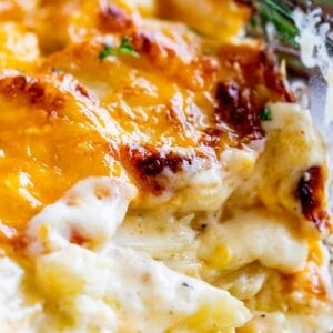 how to make scalloped potatoes super creamy