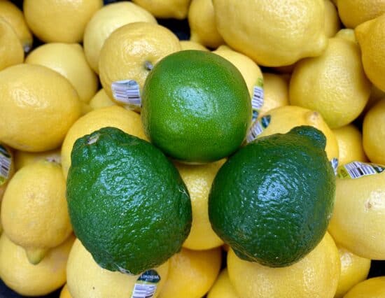 rough limes and smooth lime surrounded by lemons.