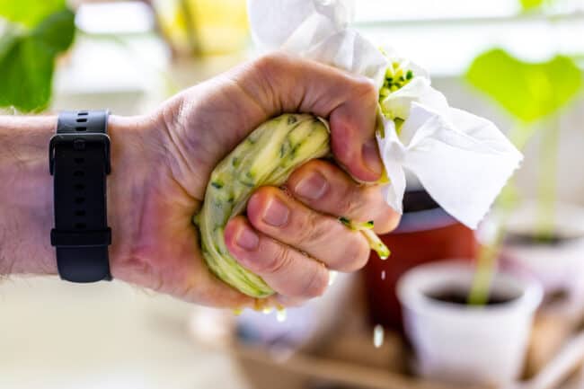 a fist squeezing shredded zucchini in a paper towel.