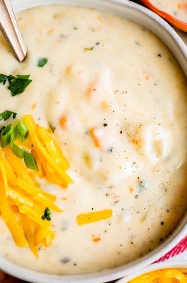 homemade potato soup in a white bowl with cheese garnish