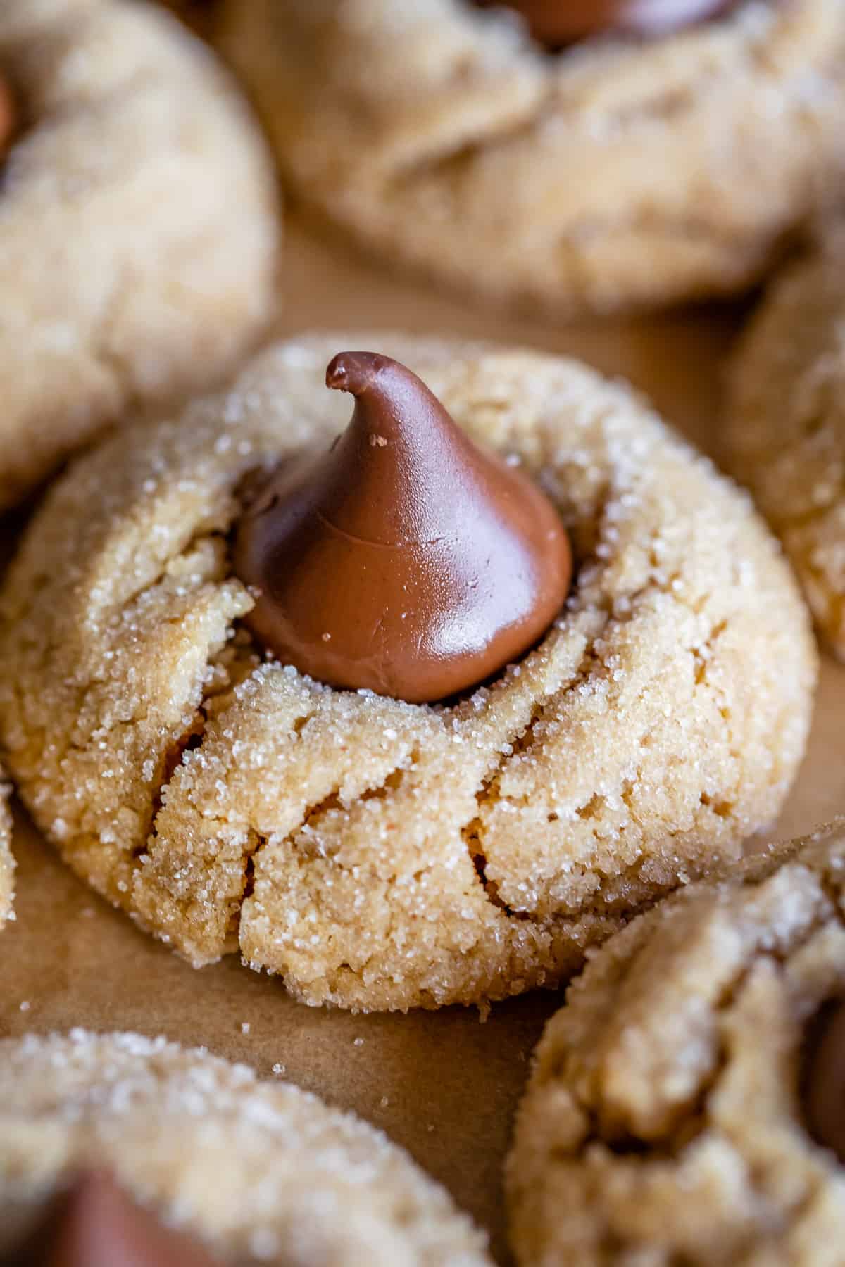 best peanut butter blossom with hershey's kiss on parchement paper