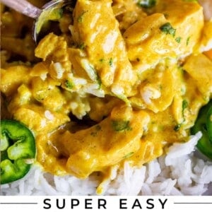 spoon lifting indian chicken curry from plate